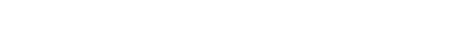 ANAV Global